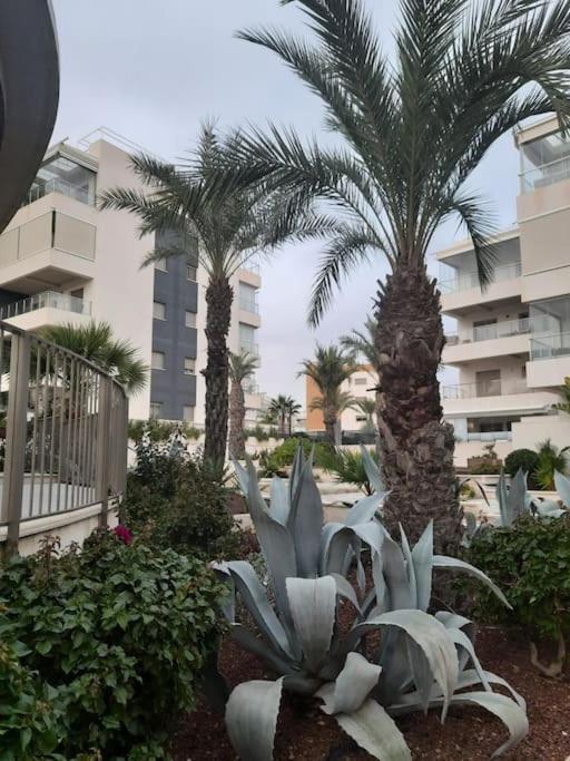 Green Hills Apartament La Zenia 3 New Beautifull Rooms Open First Season Alicante Exterior photo